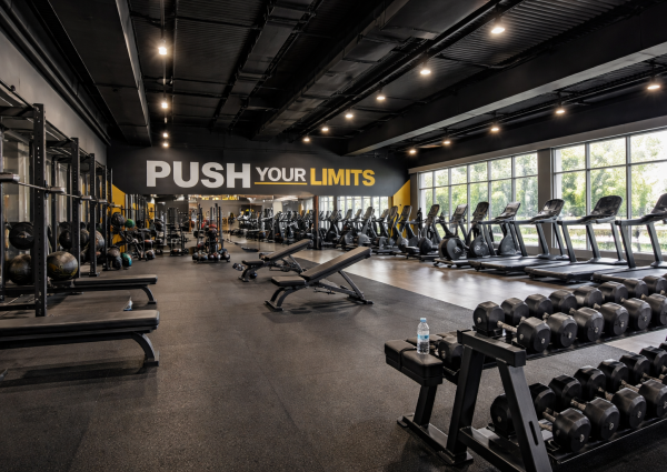 gym interior designer patna