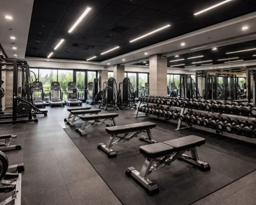 gym interior designer